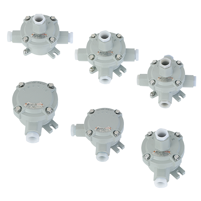 AH系列 防爆接線盒/吊燈盒（ⅡB、ⅡC、ⅢC）